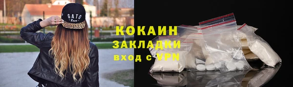 прущие грибы Беломорск