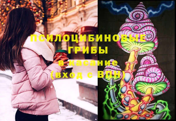 прущие грибы Беломорск