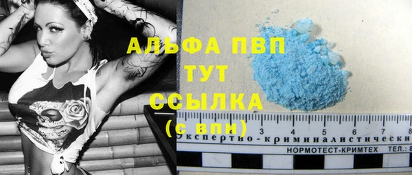 прущие грибы Беломорск