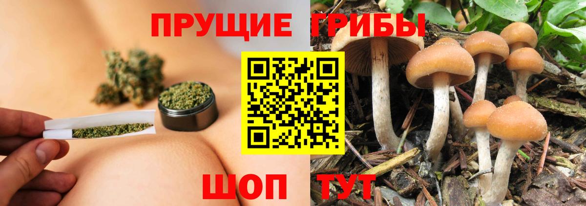 цена   Псилоцибиновые грибы GOLDEN TEACHER  Вход с VPN  Бугульма 