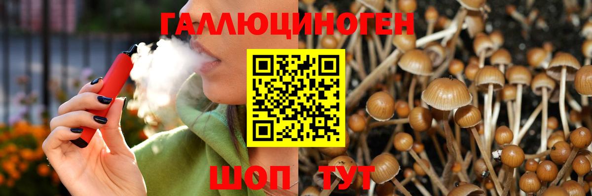 Галлюциногенные грибы MAGIC MUSHROOMS Бугульма